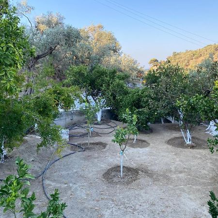 House With Beautiful Garden In Plomari Appartement Buitenkant foto