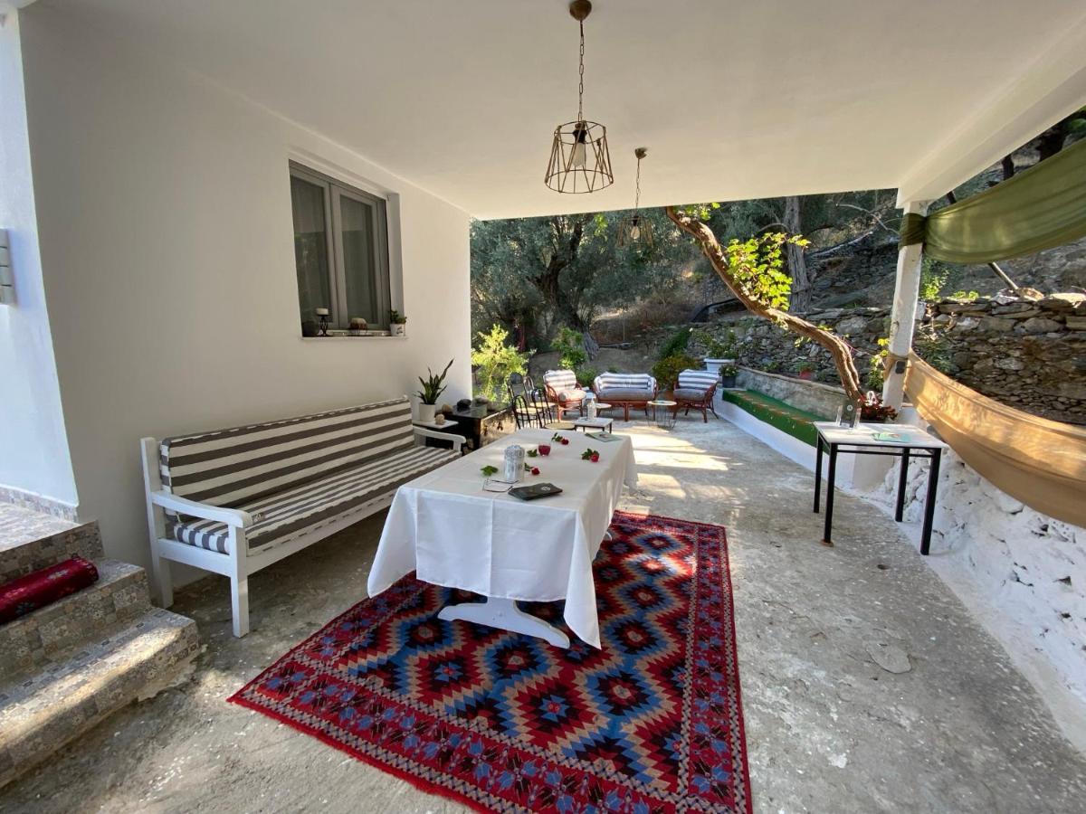 House With Beautiful Garden In Plomari Appartement Buitenkant foto