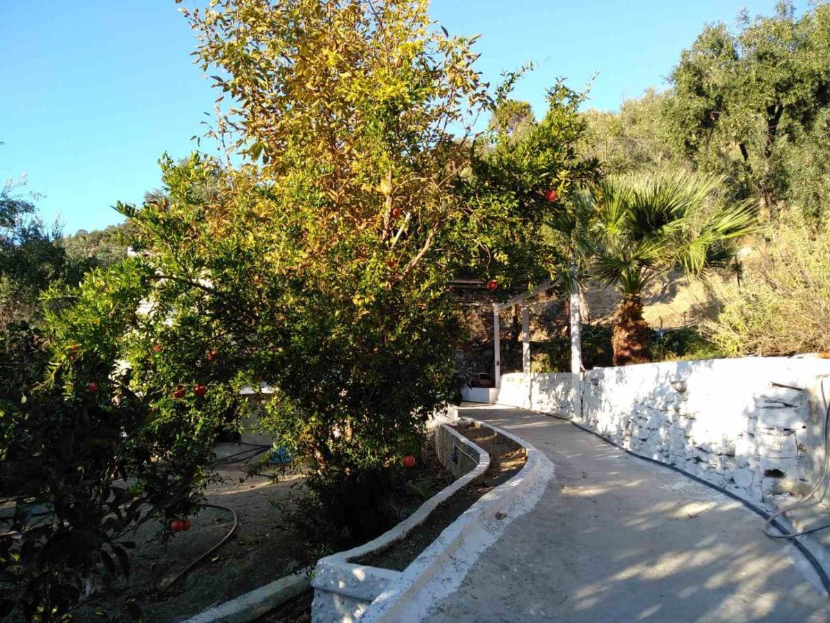 House With Beautiful Garden In Plomari Appartement Buitenkant foto