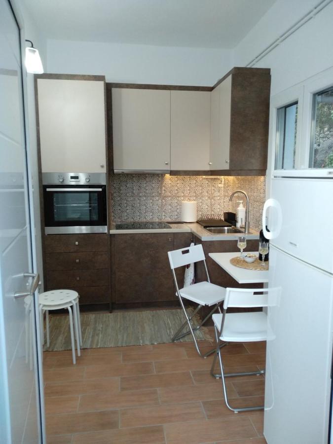 House With Beautiful Garden In Plomari Appartement Buitenkant foto